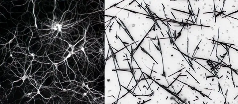 Neural network (left) nanowire network (right)